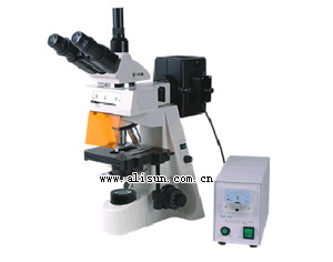 荧光显微镜-19AY