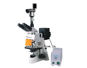 数码荧光显微镜-19AYS