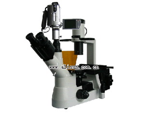 摄像倒置荧光显微镜-38XBV